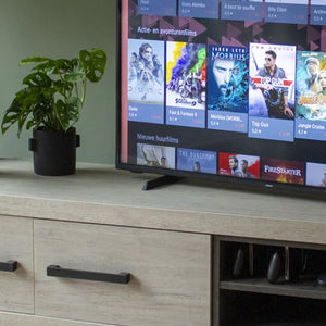 Fernseher