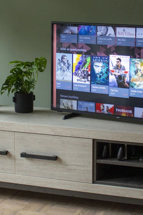 Fernseher